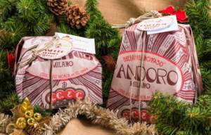 panettone solidale Casamica Onlus